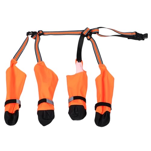 VILLFUL 1 Set Verstellbare Hunde-Regenstiefel: Wasserfeste Haustierschuhe Spazierengehen – Leicht Zu Tragende Mit Rutschfestem Design Für Hunde – Pfotenschutzzubehör VILLFUL 1 Set Verstellbare Hunde-Regenstiefel: Wasserfeste Haustierschuhe Spazierengehen – Leicht Zu Tragende Mit Rutschfestem Design Für Hunde – Pfotenschutzzubehör von VILLFUL