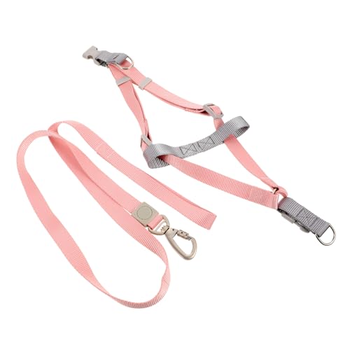VILLFUL 1 Set Verstellbares Hundegeschirr, Hundegeschirr Und Leine Zum Spazierengehen, Hundeleine, Geschirr Für Kleine Hunde, Leine Für Hunde, Hundeleine Zum Spazierengehen, Welpenleine, VILLFUL 1 Set Verstellbares Hundegeschirr, Hundegeschirr Und Leine Zum Spazierengehen, Hundeleine, Geschirr Für Kleine Hunde, Leine Für Hunde, Hundeleine Zum Spazierengehen, Welpenleine, von VILLFUL