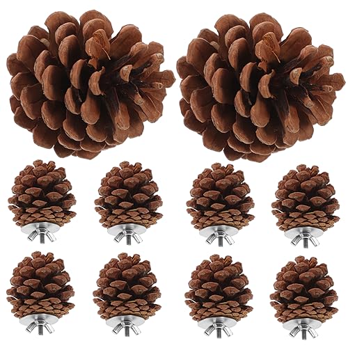 VILLFUL Natürliches Vogelkauspielzeug-Set 10-teilig Kiefernzapfen-Holzspielzeug zur Bereicherung von Papageien und Vögeln VILLFUL Natürliches Vogelkauspielzeug-Set 10-teilig Kiefernzapfen-Holzspielzeug zur Bereicherung von Papageien und Vögeln von VILLFUL