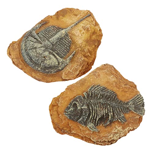 VILLFUL 2 Stück Box Simuliertes Harzfossil DIY Terrarium Dekore Krabbelnde Reptilien Dekore DIY Reptilien Dekore Gecko Landschaft Krabbelnde Landschaft Simulation Reptilien Dekore von VILLFUL