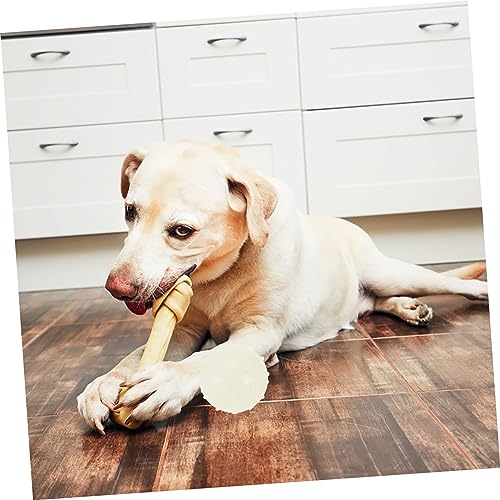 VILLFUL 2 Stück Kleine Beißfeste Leuchtende Gummibälle für Hunde Interaktives Langlebiges Kauspielzeug für Kleine Hunde Fördert Spielspaß und Zahnpflege bei Dunkelheit von VILLFUL