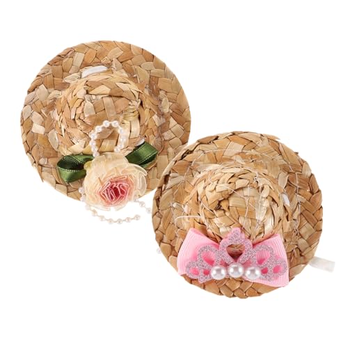 VILLFUL 2 Stück Strohhut Für Haustiere Hüte Haustiere Hut Für Vogel Hahn Hut Kleine Kappe Für Hühnchen Katze Gewebter Hut Papageienhut Hut Für Papagei Miniaturhüte Papagei Haustierhut Gras von VILLFUL