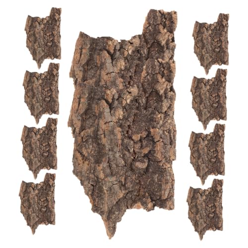 VILLFUL 20 Stück Rindenhintergrund Für Reptilienbecken Terrariumdekor Naturholz Reptilienbedarf Dekoration Ohne Wartung VILLFUL 20 Stück Rindenhintergrund Für Reptilienbecken Terrariumdekor Naturholz Reptilienbedarf Dekoration Ohne Wartung von VILLFUL