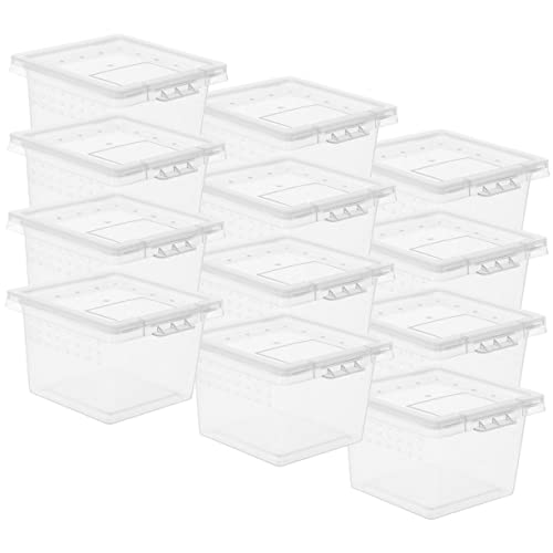 VILLFUL 20 Stück Kunststoff Reptil Zuchtbox Transparentes Terrarium für Eidechsen Vogelspinnen Insekten Leicht zu Reinigen mit Deckel für Zucht und Fütterung VILLFUL 20 Stück Kunststoff Reptil Zuchtbox Transparentes Terrarium für Eidechsen Vogelspinnen Insekten Leicht zu Reinigen mit Deckel für Zucht und Fütterung von VILLFUL