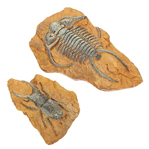 VILLFUL Schlangen Eidechsen Box Ornamente Naturharz Terrarium Landschaft Haustier Terrarium Zubehör VILLFUL Schlangen Eidechsen Box Ornamente Naturharz Terrarium Landschaft Haustier Terrarium Zubehör von VILLFUL