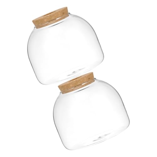 VILLFUL 2st Ökologische Mikrolandschaftsflasche Dekorative Landschaftsflasche Desktop-sukkulentenflasche Terrarium Pflanzentopf Kleines Terrarium Mikrolandschaft Terrarium Aquarium Holz VILLFUL 2st Ökologische Mikrolandschaftsflasche Dekorative Landschaftsflasche Desktop-sukkulentenflasche Terrarium Pflanzentopf Kleines Terrarium Mikrolandschaft Terrarium Aquarium Holz von VILLFUL