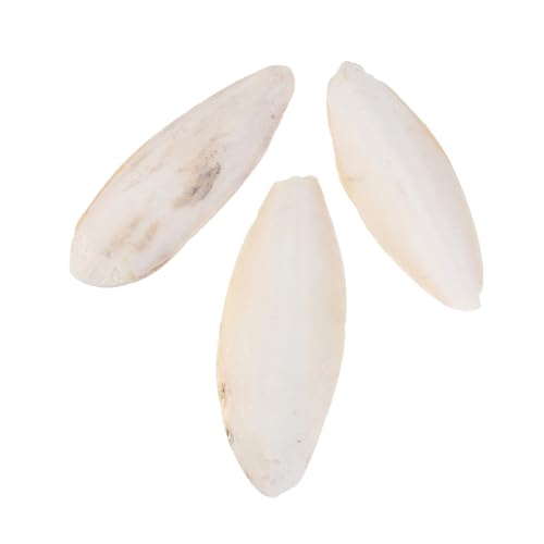 VILLFUL 3 STK Cuttlebone Kauspielzeug nager Spielzeug löthilfe Vogelkuschelknochen Cuttlebone-Halter Spielzeuge Haustier-Kauen-Anhänger Haustierbiss Sepia -Ergänzung Snack Schnabel von VILLFUL