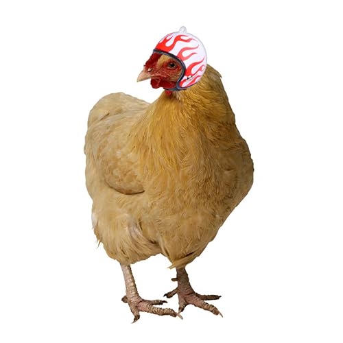 VILLFUL 3 Stücke Lustiger Teiliges Hühnerhelm mit Lustigen Mustern Schützende Kopfbedeckung für Hühner Enten Papageien und Andere Haustier Vögel Bequem und Langlebig von VILLFUL
