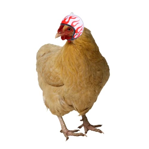 VILLFUL 3St Hühnerhelm kleine Hunde-Outfits Hühnergeschirr Hühnerspielzeug für Hühner Tiara Schutzhelme Vogel Kopfbedeckung Vogelmütze Kopfbedeckung Kleidung Haustier Huhn Geflügel Plastik von VILLFUL