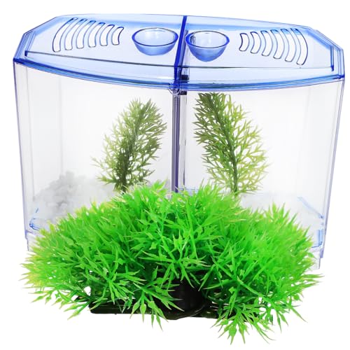 VILLFUL Aquarium Kunststoff mit Trennwand Teiliges Set mit Blauem Becken und Künstlichen Wasserpflanzen Platzsparendes Tisch Aquarium mit Praktischer Wasserwechsel Funktion als Deko von VILLFUL