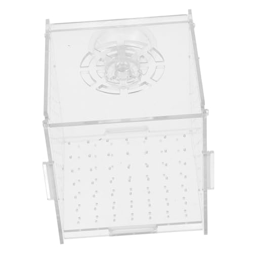 VILLFUL Fischzuchtbox für Aquarien Isolationsbehälter mit Saugnäpfen Transparente Brutbox für Guppys Zuchtbox für Fische Einfacher Aufbau und Pflege VILLFUL Fischzuchtbox für Aquarien Isolationsbehälter mit Saugnäpfen Transparente Brutbox für Guppys Zuchtbox für Fische Einfacher Aufbau und Pflege von VILLFUL