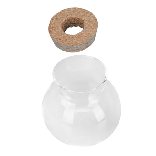 VILLFUL -landschaftsflasche Glasterrarium Heimdekoration Leere Flasche 11 X 10 cm Miniatur-Aquarium-Display VILLFUL -landschaftsflasche Glasterrarium Heimdekoration Leere Flasche 11 X 10 cm Miniatur-Aquarium-Display von VILLFUL