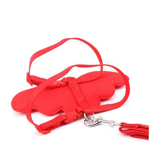 VILLFUL Kabel Ziehen Weste Für Haustiere Haustiermarkenfass Haustiergurte Schlauchdiffusor Haustiergeschirr Aus Nylon Halsband Leine Trainingsleine Katzenleine Rot Leinen Haustier Hund VILLFUL Kabel Ziehen Weste Für Haustiere Haustiermarkenfass Haustiergurte Schlauchdiffusor Haustiergeschirr Aus Nylon Halsband Leine Trainingsleine Katzenleine Rot Leinen Haustier Hund von VILLFUL