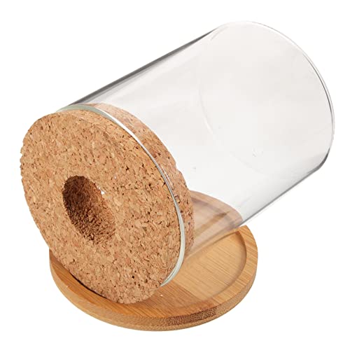 VILLFUL Kleines Fischglas mit Klarem Hydroponik Pflanzentopf Transparenter Terrarien Behälter für Desktop Deko für Goldfisch und Moospflanzen Kreatives Aquarium für Wohn und Arbeitszimmer von VILLFUL