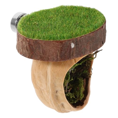 VILLFUL Lebensraum Für Springspinnen: Magnetisches Versteck, Kletterplattform Und Natürlicher Zaun – Für Insekten, Geckos, Eidechsen Und Kleine Haustiere VILLFUL Lebensraum Für Springspinnen: Magnetisches Versteck, Kletterplattform Und Natürlicher Zaun – Für Insekten, Geckos, Eidechsen Und Kleine Haustiere von VILLFUL