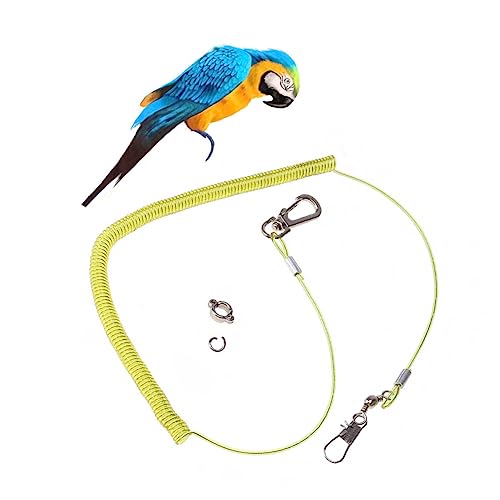 VILLFUL Papageien Trainingsleine Elastische Flugleine mit Fußring Bissfestes Trainingsseil für Papageien und Vögel Robustes Vogelgeschirr für und Outdoor Training Zufällige Farbe VILLFUL Papageien Trainingsleine Elastische Flugleine mit Fußring Bissfestes Trainingsseil für Papageien und Vögel Robustes Vogelgeschirr für und Outdoor Training Zufällige Farbe von VILLFUL