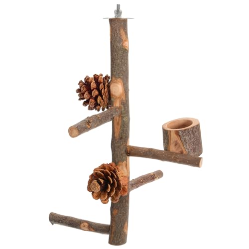 VILLFUL Parrot Perch Stand aus Stabilem Holz Langlebige Sitzstange für Papageien Vogelkäfig Zubehör Spielerisches Futter und Kletterspielzeug Natürliche Holzstruktur für Vögel von VILLFUL
