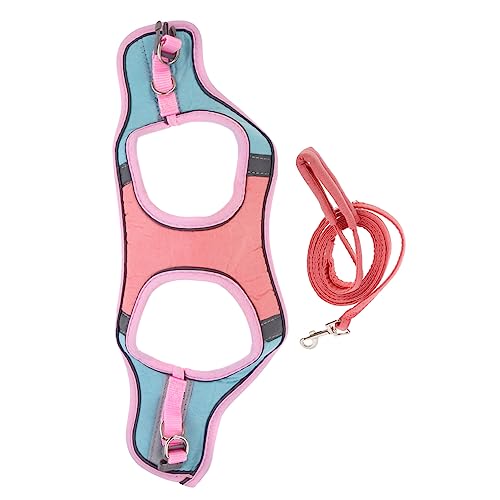 VILLFUL Reflektierendes Katzen Geschirr und Leine Set Ausbruchsicheres Brustgeschirr mit Verstellbarem Gurt Robustes Kleines Haustier Spaziergeschirr für Kätzchen Teiliges Set und Grün S VILLFUL Reflektierendes Katzen Geschirr und Leine Set Ausbruchsicheres Brustgeschirr mit Verstellbarem Gurt Robustes Kleines Haustier Spaziergeschirr für Kätzchen Teiliges Set und Grün S von VILLFUL