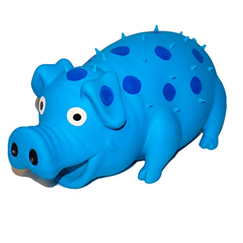 OYYXNN Hundespielzeug aus Latex, grunting Pig mit Geräuschen, Blau von VIMIGOO