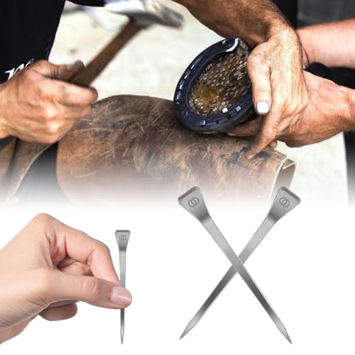 250pcs Hufeisen Schuhe, 5,3 cm E6 Hufeisen Nägel, Edelstahl Hufeisen Werkzeuge, 5,3 cm Hufeisen Werkzeuge, Feste Sicherung Zubehör für Pferde Training Reitsport Pferderennen (250) von VINGVO