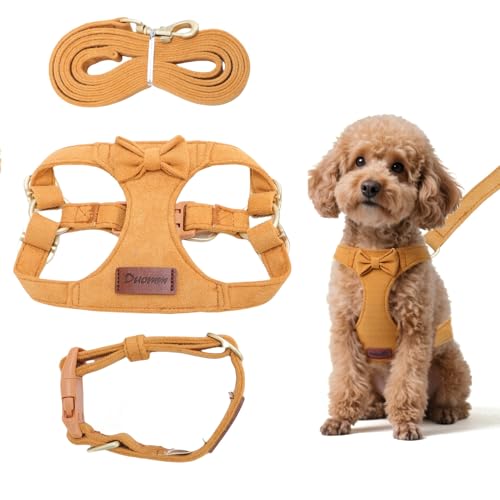 Hundegeschirr, Halsband und Leine, kein Ziehen, Haustierweste, Geschirre mit 1,5 m Leine und Sicherheitsschnalle, verstellbares Hundegeschirr für kleine, mittelgroße Hunde, Welpen, Katzen, Training von VINGVO