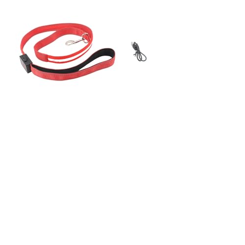 LED Hundeleine Für Hunde, Reflektierend Hundeleine Mit 4 Lichtmodi, 1,2m USB Leine Hund Große Hunde Aufladbar Hochsichtbarkeit Für Große Und Kleine Hundes, Sicherheits Für Spaziergänge (Rot) von VINGVO