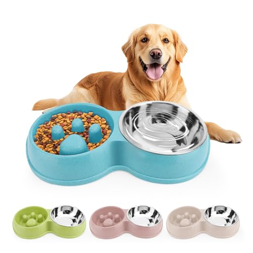 Pets Double Slow Feeder Bowls, Cats & Dogs Food Water Bowls, Stainless Steel Puppy Food and Water Dishes Non-Skid, Pet Feeding Bowl for Small Dogs Puppy Cat (Blue) von VINGVO