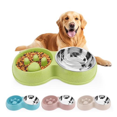 Pets Double Slow Feeder Bowls, Cats & Dogs Food Water Bowls, Stainless Steel Puppy Food and Water Dishes Non-Skid, Pet Feeding Bowl for Small Dogs Puppy Cat (Green) von VINGVO