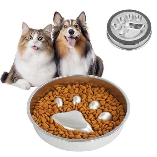Slow Feeder Hundenapf, Edelstahl rutschfeste Hundefutterschalen, Fun Bloat Stop Pet Bowl Hund Wassernapf für kleine & mittelgroße Hunde zum Verlangsamen des Essens (C) von VINGVO