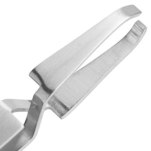 VINGVO Flohclip, Haustierpinzette, Edelstahlpinzette für Hund Katze Haustier Welpe VINGVO Flohclip, Haustierpinzette, Edelstahlpinzette für Hund Katze Haustier Welpe von VINGVO