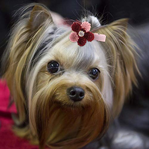 VINGVO Katzenhaar-Accessoire, Hundehaar-Accessoire, Dacron Pet Hair Clip 10 PCS Hund für Haustier von VINGVO