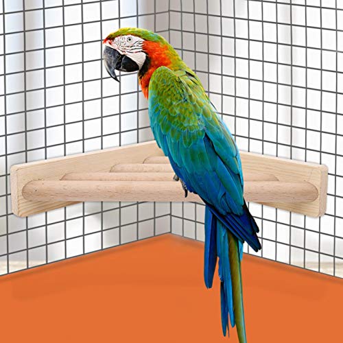 VINGVO Papageienständer, Plattform Halterung für Haustiere, Käfig, Spielzeug für Papageien, Spielzeug für Stange von VINGVO