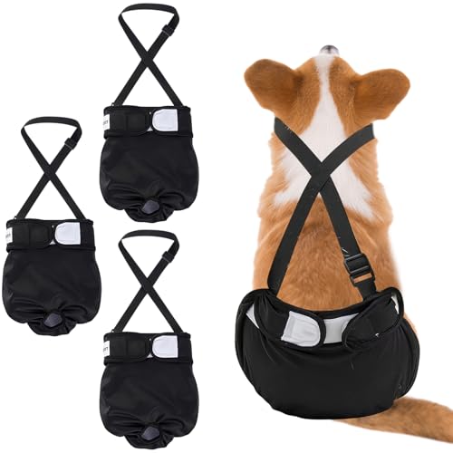 Windeln für Hündinnen, verstellbare Strumpfhalter, Sanitärhöschen, sehr saugfähig, wiederverwendbar, waschbar, für kleine und mittelgroße Mädchen, Größe XL, 3 Stück von VINGVO