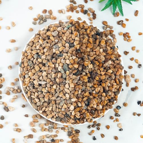 VINICS Aquarienkies, 9 kg, 3–6 mm, Aquarienkies, Sukkulenten, Kakteen, Erbsen, Kies für Zimmerpflanzen, Flussfelsen für Gartenarbeit, Blumentöpfe, Vasenfüller, Gartenlandschaftsbau von VINICS