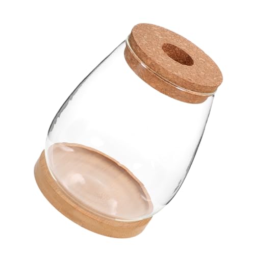 VINTORKY Hydrokultur Flasche Vase Set Ökosystem Container Terrarium Pflanzen Für von VINTORKY