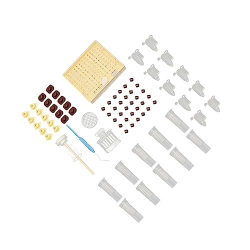 VINTORKY 1Satz Aufzucht Box Kunststoff Fütterungsbox für Bienen zu Installieren und Platzsparend Zubehör für Bienenzucht von VINTORKY