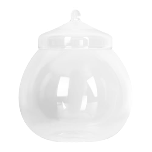 VINTORKY 1Satz Mikrolandschaftsflasche Für Pflanzen DIY Terrarium Glasflasche Mit Zufälligem Hoher Transparenter Behälter Für Dekoration Und Pflanzenpflege von VINTORKY