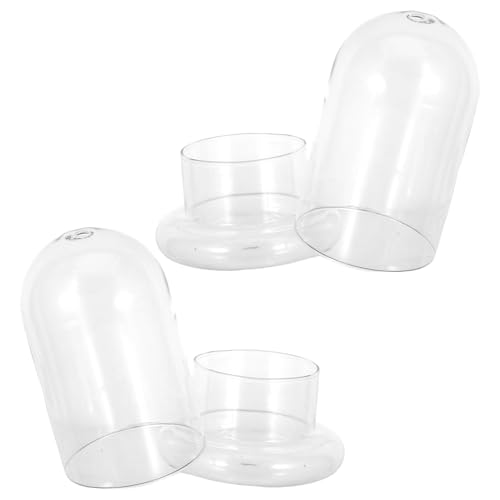 VINTORKY 2Stücke Mikrolandschafts Glasflasche Ökologische DIY Flasche Borosilikatglas für Terrarien und Pflanzendekor für und Heimdekoration VINTORKY 2Stücke Mikrolandschafts Glasflasche Ökologische DIY Flasche Borosilikatglas für Terrarien und Pflanzendekor für und Heimdekoration von VINTORKY