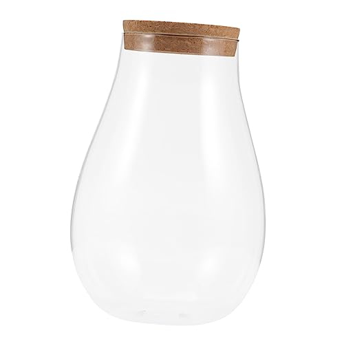 VINTORKY DIY Betta Flasche Glasterrarium Für Mooslandschaften Ökologische Glasflasche Für Wasserpflanzen Dekoratives Terrarium Für Innenbereich Mit Holzverschluss von VINTORKY