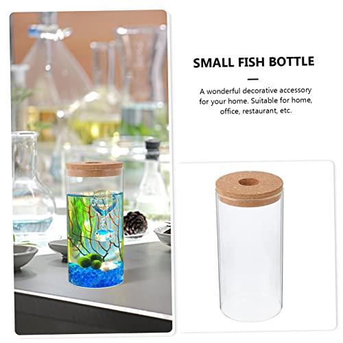 VINTORKY Hochborosilikat Terrarium Flasche DIY Mikrolandschaft Moos Landschaft Behälter Kreative Dekoration für Zuhause und Büro Glatte Oberfläche Transparent Schadstofffrei VINTORKY Hochborosilikat Terrarium Flasche DIY Mikrolandschaft Moos Landschaft Behälter Kreative Dekoration für Zuhause und Büro Glatte Oberfläche Transparent Schadstofffrei von VINTORKY