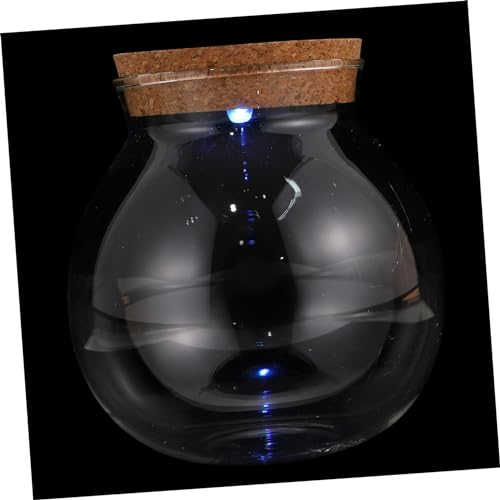 VINTORKY Micro Landschaft Flasche mit LED Licht Kreative DIY Terrariumhalter Glasflasche für Wohnkultur und Pflanzen Dekoration Langlebig und Vielseitig Einsetzbar von VINTORKY