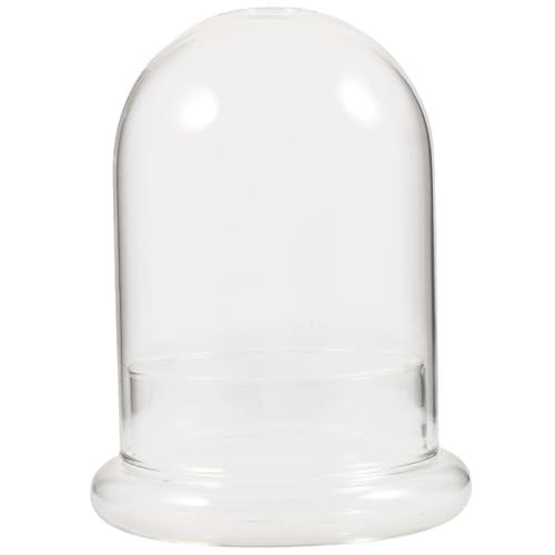 VINTORKY Mikro Landschaftsflasche aus DIY Terrarium für Pflanzen Dekorative Glasglocke Transparent Langlebig Kreative Vase für Zuhause Büro und Garten VINTORKY Mikro Landschaftsflasche aus DIY Terrarium für Pflanzen Dekorative Glasglocke Transparent Langlebig Kreative Vase für Zuhause Büro und Garten von VINTORKY
