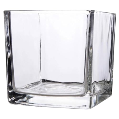 VINTORKY Quadratische Glasvase Moderne Würfel-blumenvase Klare Kleine Glasvase Für Inneneinrichtung Als Tischdeko Für Schreibtisch Oder Wohnzimmer Geeignet Für Sukkulenten von VINTORKY
