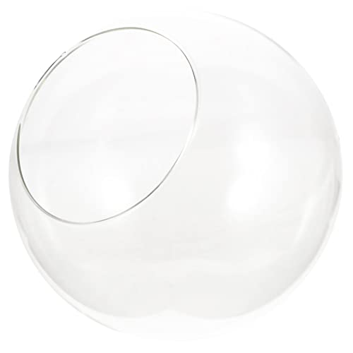 VINTORKY Terrarium für Sukkulenten und Moos Hochtransparentes DIY Ökosystem für Moderne Innendekoration Schreibtisch Hochzeit VINTORKY Terrarium für Sukkulenten und Moos Hochtransparentes DIY Ökosystem für Moderne Innendekoration Schreibtisch Hochzeit von VINTORKY