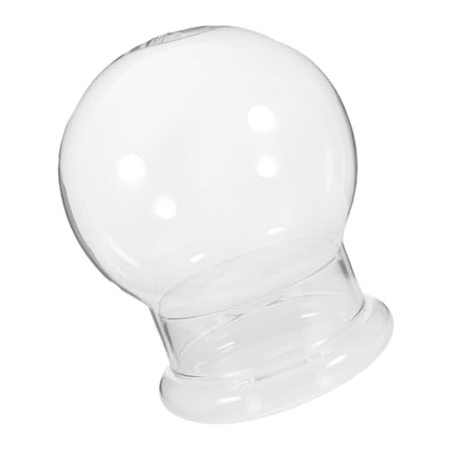 VINTORKY Transparente Glasterrarium Flasche mit Großem Öffnung Mikrolandschafts Pflanzenbehälter für Sukkulenten Design für Bürodekoration von VINTORKY