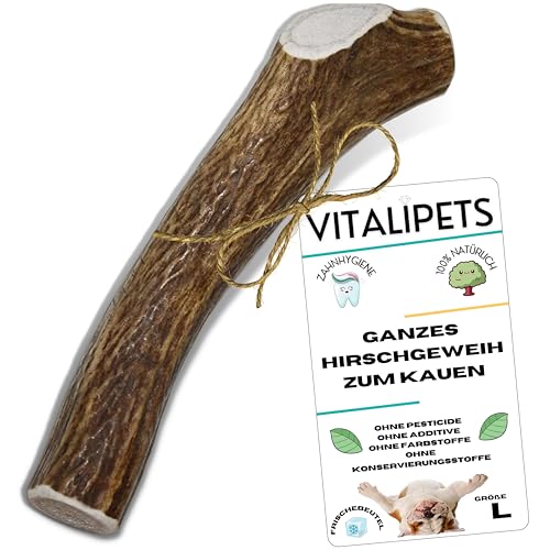 VITALIPETS Hirschgeweih für Hunde, Kauspielzeug (Größe XL Hunde von 30 bis 45 Kg, Größe L Hunde von 20 bis 30 Kg) VITALIPETS Hirschgeweih für Hunde, Kauspielzeug (Größe XL Hunde von 30 bis 45 Kg, Größe L Hunde von 20 bis 30 Kg) von VITALIPETS