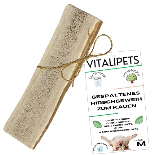 Hirschgeweih Hunde von 5 bis 12 kg, geschnitten, Größe M - Natürlicher Kauknochen - Leckerlis - Belohnung - Spielzeug - Unverwüstliche Welpenbeschäftigung - Kauen - Zahnhygiene -Anti-Stress von VITALIPETS