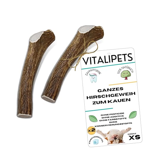 VITALIPETS Hirschgeweih für Hunde | Größe XS Miniaturhunde und Welpen | 2 Stück | Natürliche Zahnreinigung | Langanhaltender Kauspaß | 100% Natürliche Mineralienquelle | Stressabbau VITALIPETS Hirschgeweih für Hunde | Größe XS Miniaturhunde und Welpen | 2 Stück | Natürliche Zahnreinigung | Langanhaltender Kauspaß | 100% Natürliche Mineralienquelle | Stressabbau von VITALIPETS