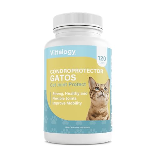 VITTALOGY Chondroprotektor für Katzen, entzündungshemmend, natürlich mit Kollagen, Chondroitin, Hyaluron und Kurkuma, Nahrungsergänzungsmittel für Hüften, Gelenke und Knorpel, 120 Kapseln VITTALOGY Chondroprotektor für Katzen, entzündungshemmend, natürlich mit Kollagen, Chondroitin, Hyaluron und Kurkuma, Nahrungsergänzungsmittel für Hüften, Gelenke und Knorpel, 120 Kapseln von VITTALOGY