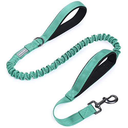 VIVAGLORY Bungee Hundeleine für Große Hunde - Elastisch, Verstellbar (122-168CM) - Jogging Leine, Türkis von VIVAGLORY